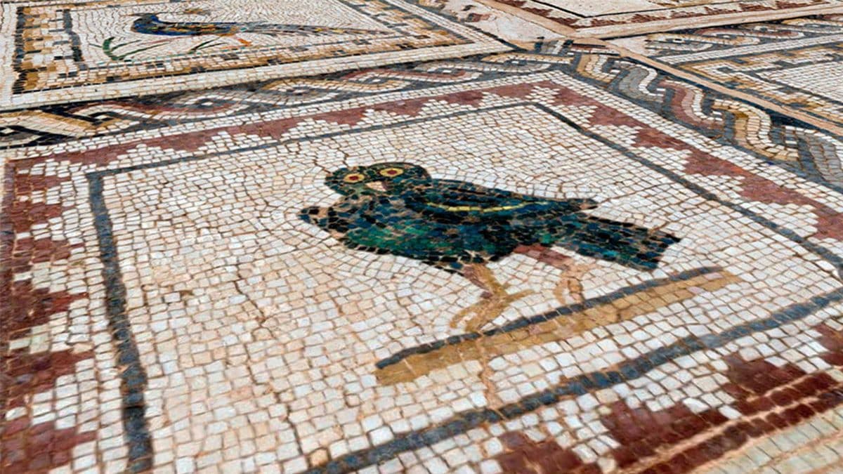 Detalle del mosaico romano de la Casa de los Pájaros de Itálica