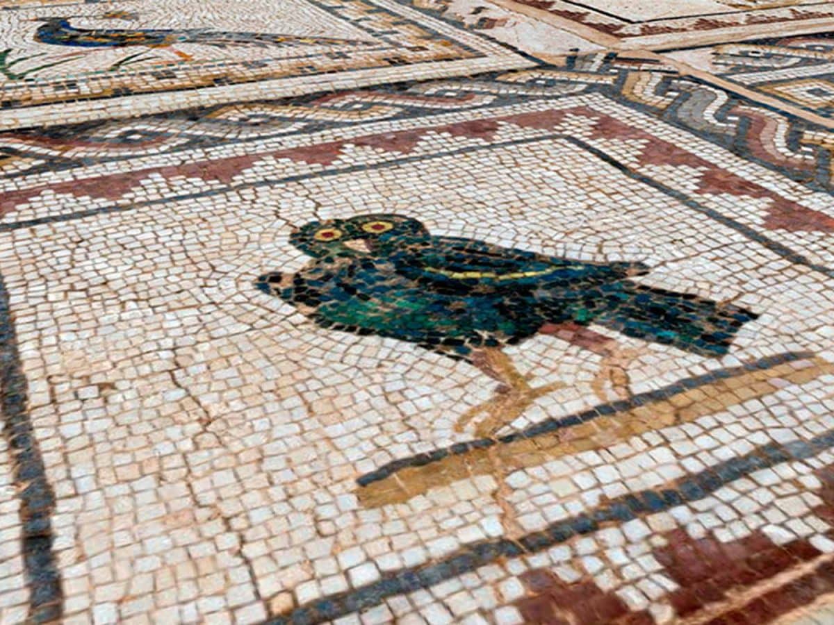 Detalle del mosaico romano de la Casa de los Pájaros de Itálica