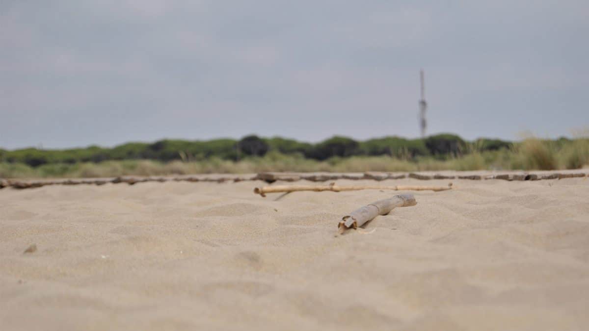 Playa de la Bota, en Punta Umbría