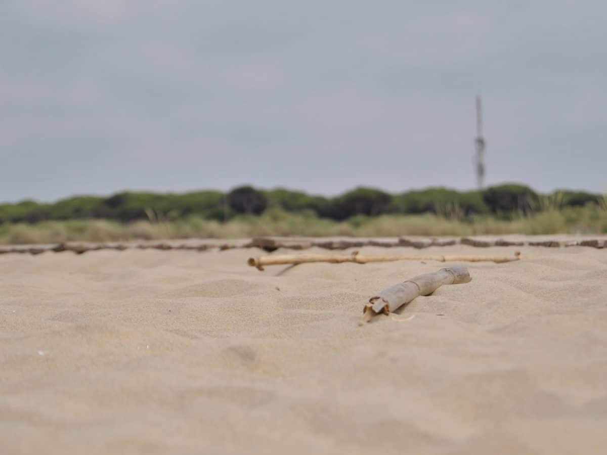 Playa de la Bota, en Punta Umbría