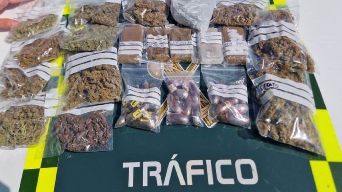 Los estupefacientes confiscados tras el registro del vehículo