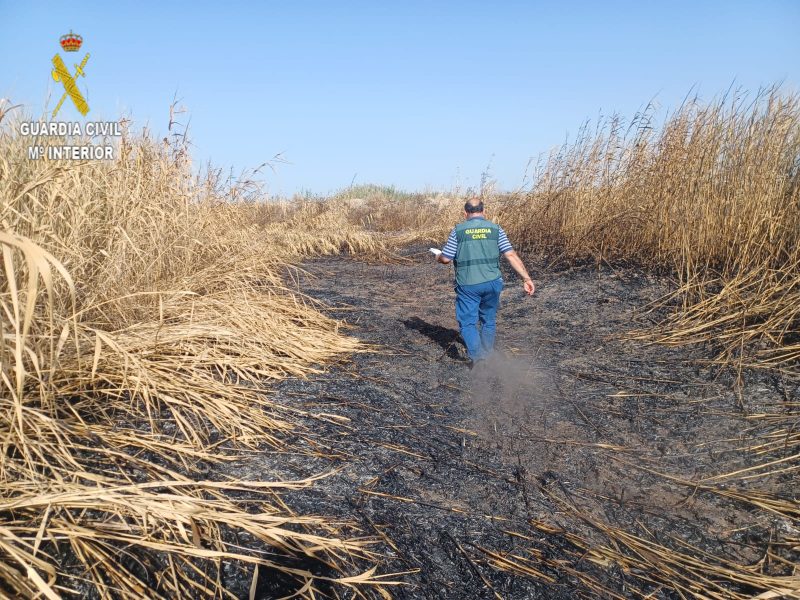 Imagen de la Reserva de la Biosfera tras estos incendios