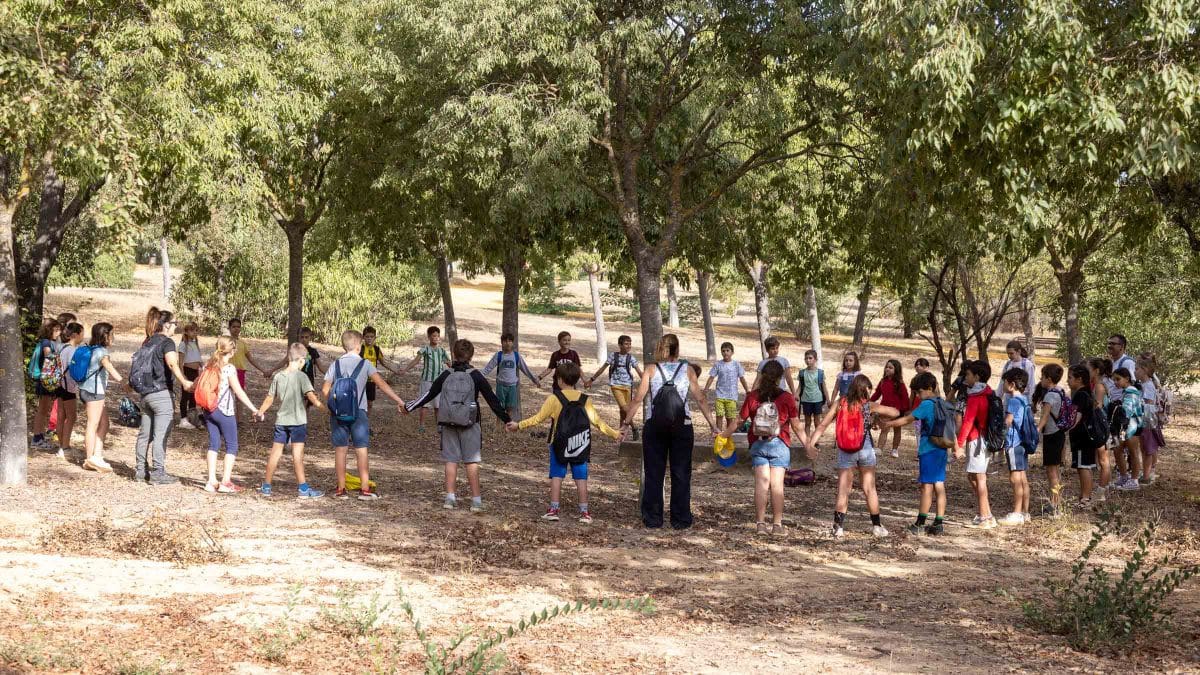 Actividades extraescolares en Mairena