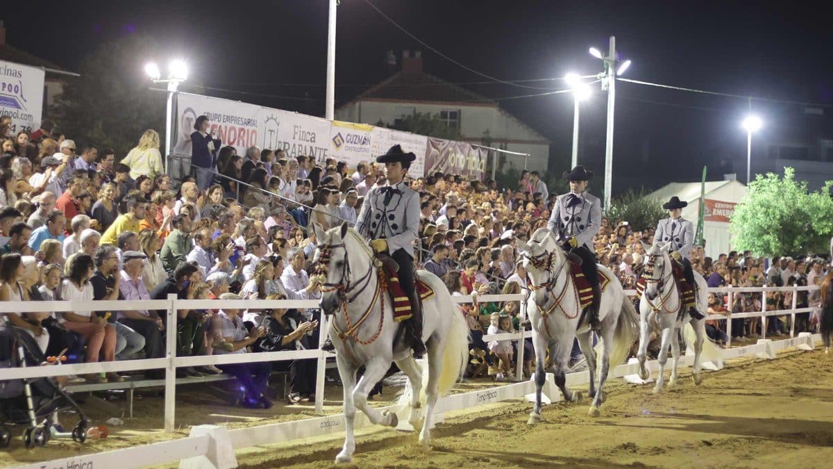 Pará de Gines