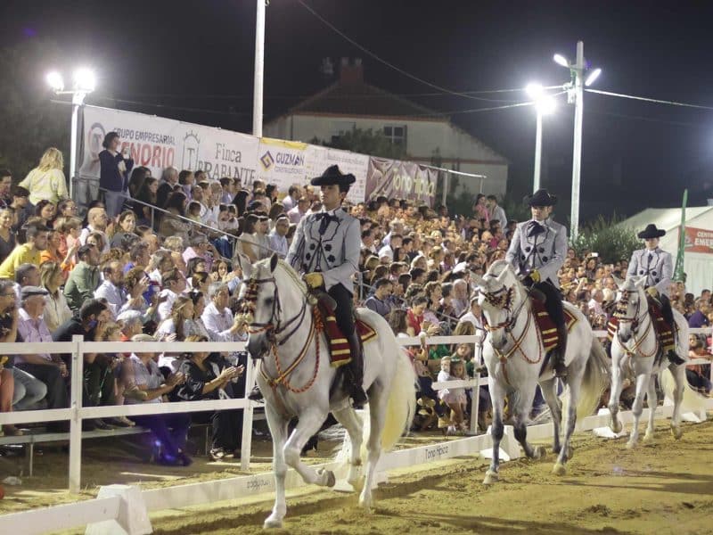 Pará de Gines