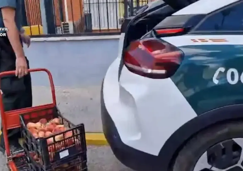 Dos detenidos por robar 4.500 kilos de paraguayos en una finca agrícola de Aznalcázar (Sevilla). - GUARDIA CIVIL