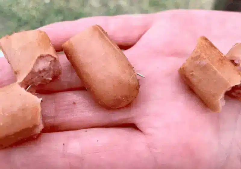 Salchichas con agujas. Imagen de archivo