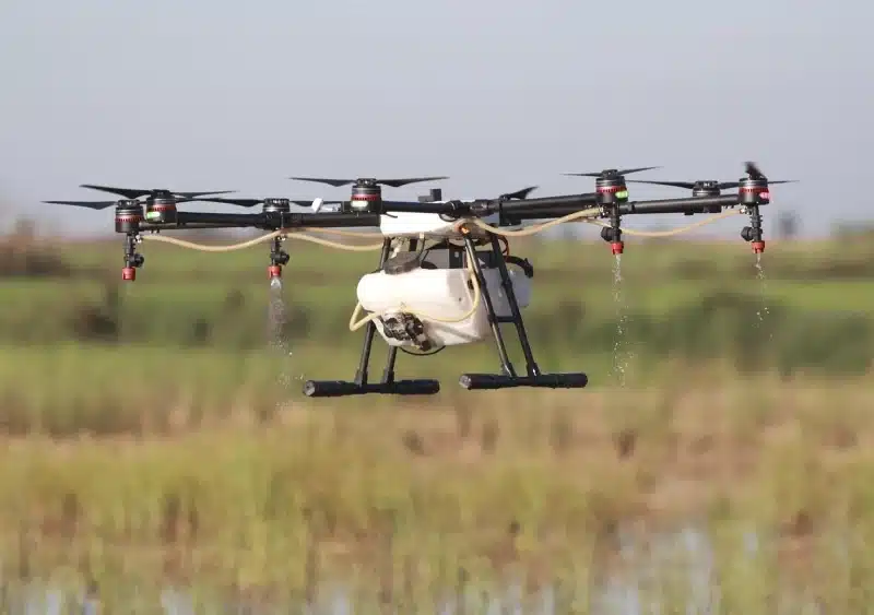 Archivo - Un dron interviene en la campaña para el tratamiento contra los mosquitos que propagan el Virus del Nilo Occidental (VNO) sobre un arrozal. A 13 de agosto de 2024, en La Puebla del Río, Sevilla (Andalucía, España). - Rocío Ruz - Europa Press - Archivo