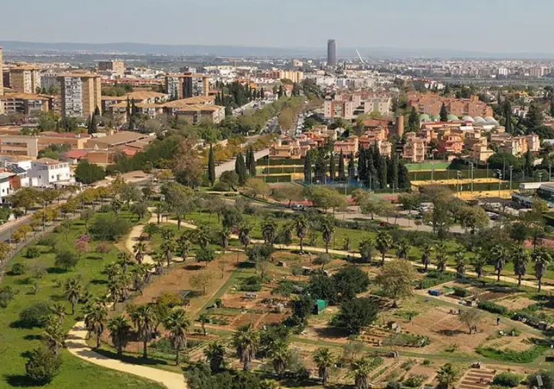 Vista panorámica de Mairena del Aljarafe. Ayuntamiento de Mairena del Aljarafe