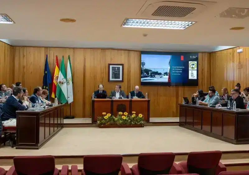 Ayuntamiento de Mairena del Aljarafe. - DANIEL ZAMORA