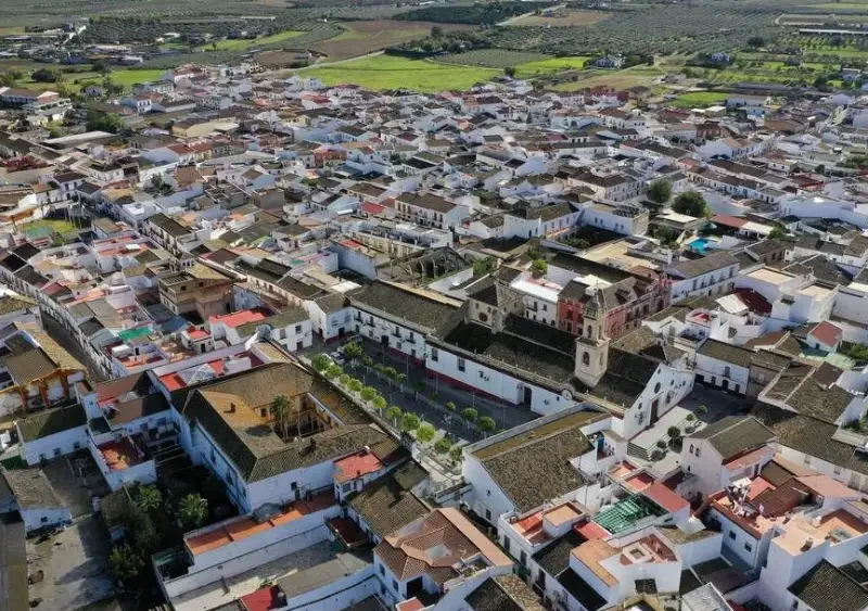 Vista panorámica de Olivares. Aljarafe 5 sentidos