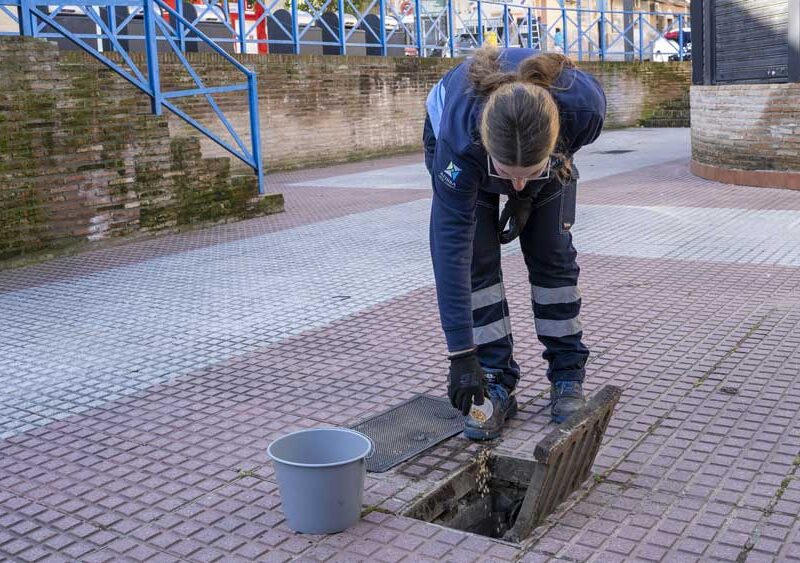 Tratamiento en uno de los imbornales del barrio de Lepanto. - Ayuntamiento de Mairena del Aljarafe