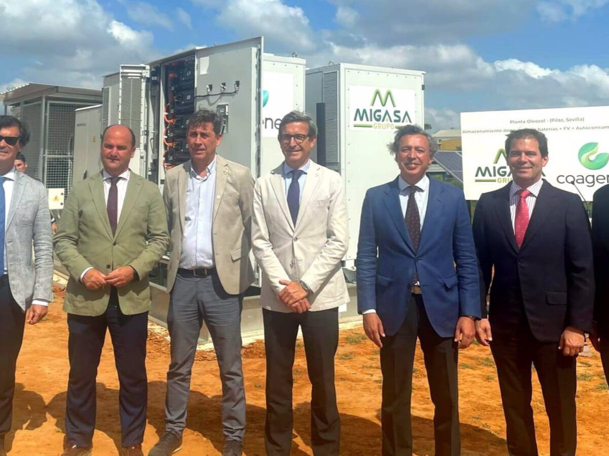Junta planta autoconsumo