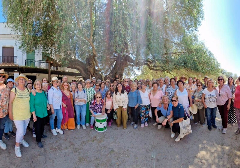 Convivencia