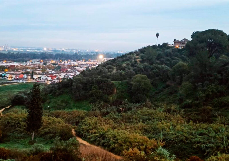Extinguido un incendio en la ladera de Simón Verde correspondiente a Gelves