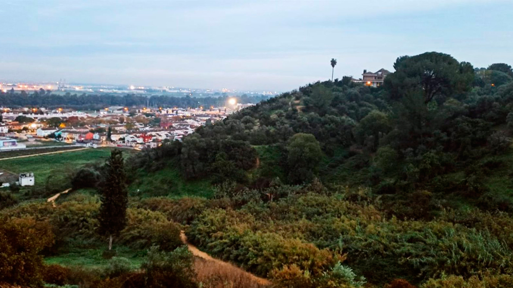 Extinguido un incendio en la ladera de Simón Verde correspondiente a Gelves