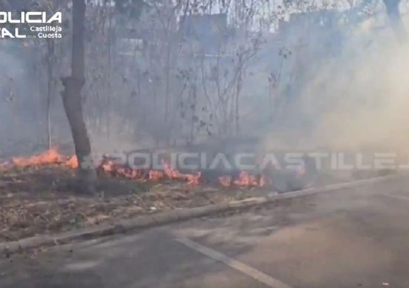 Incendio de pastos. - Castilleja de la Cuesta
