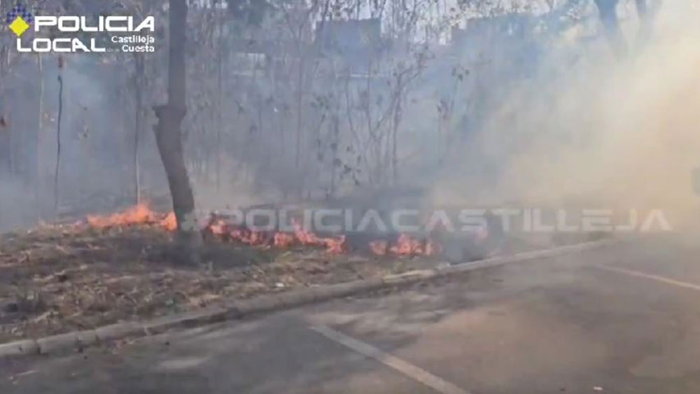Incendio de pastos. - Castilleja de la Cuesta