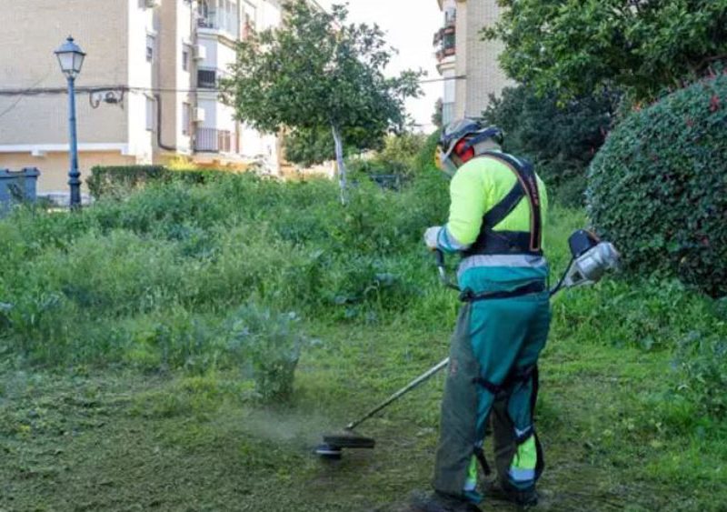 Servicio de jardinería. - Ayuntamiento de Mairena del Aljarafe