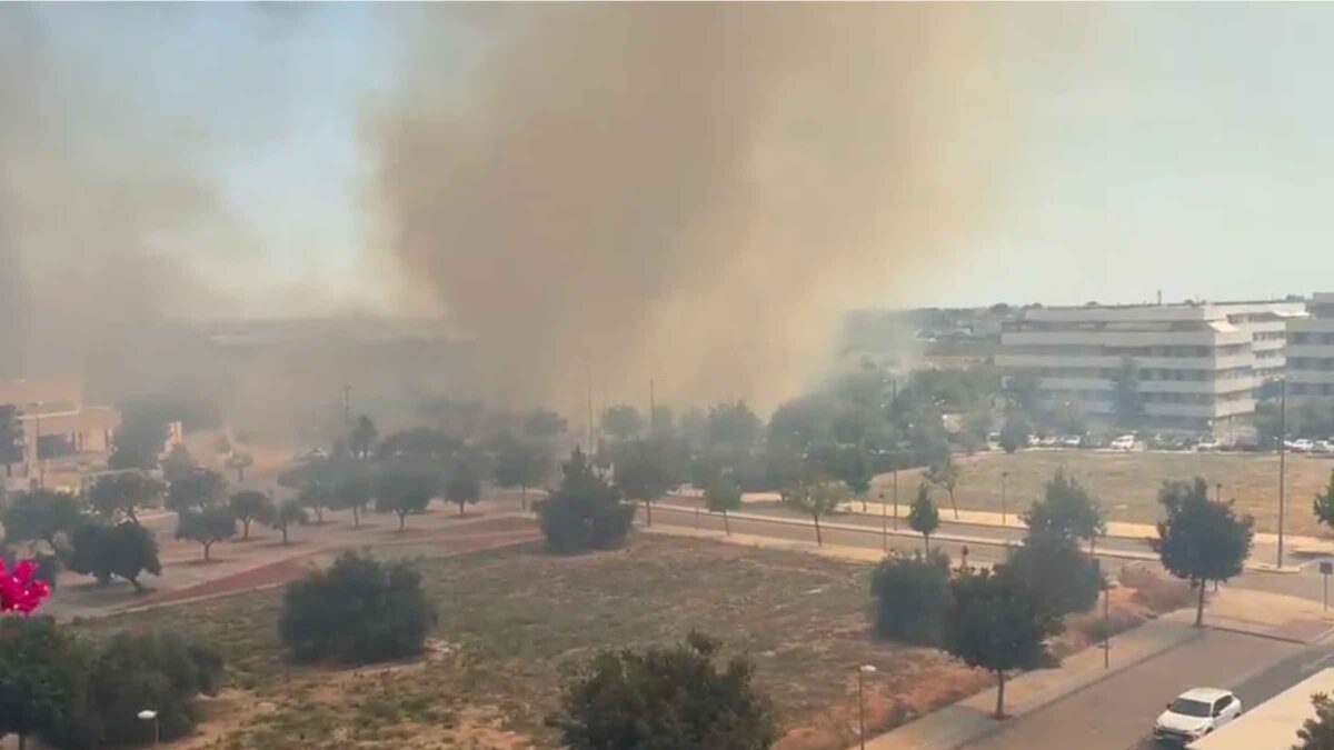 Desalojan una urbanización y movilizan un helicóptero por un incendio junto al Parque Central de Mairena del Aljarafe